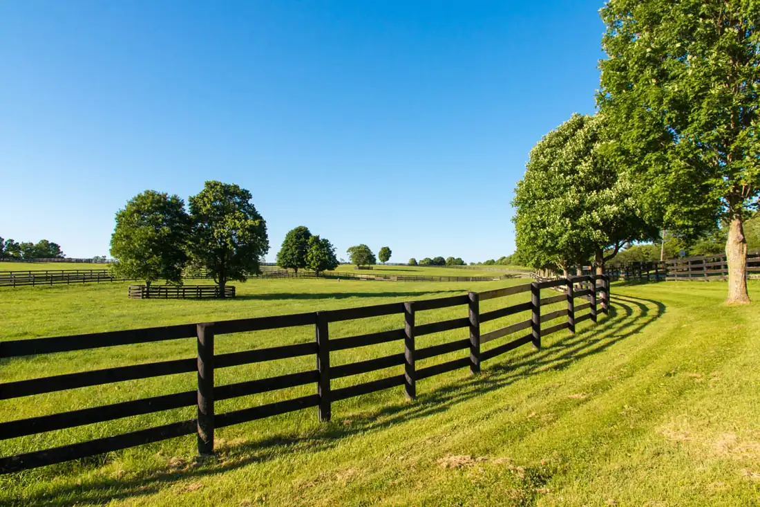 Black split rail fence