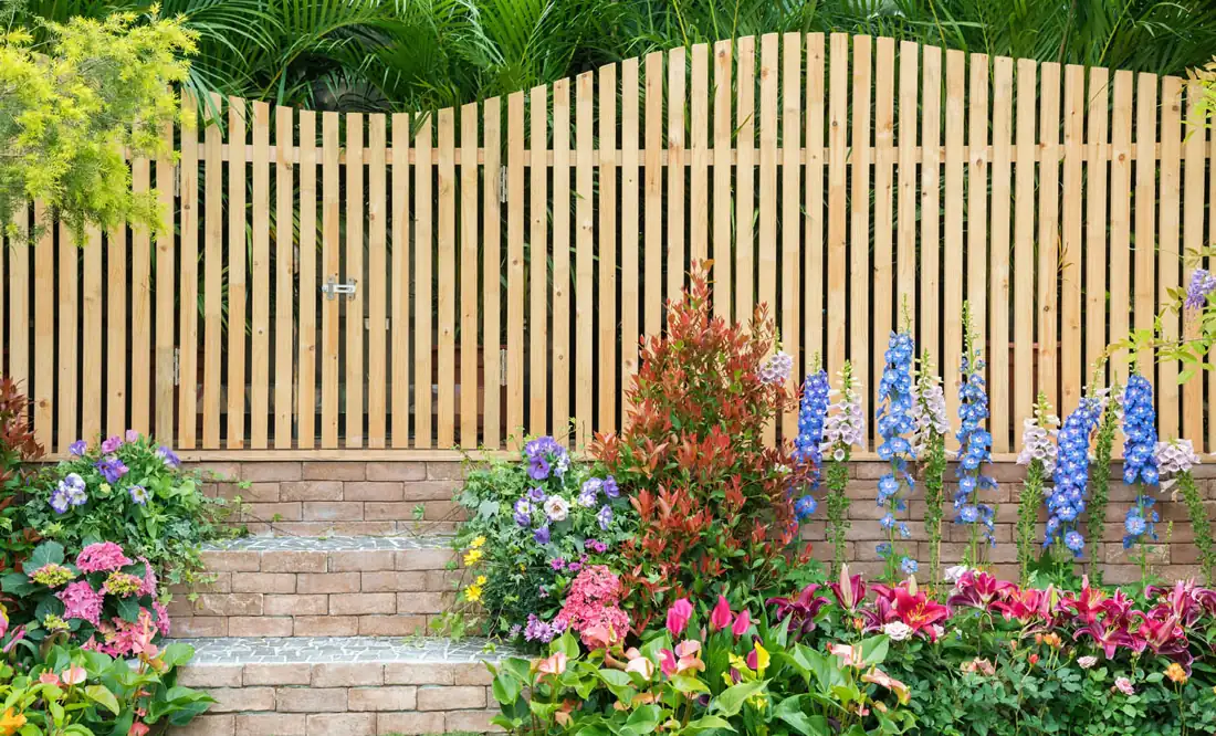 Cedar fence with an arched top section bordering a garden