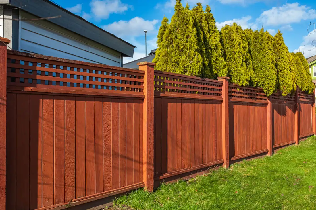 Cedar privacy fence with lattice top