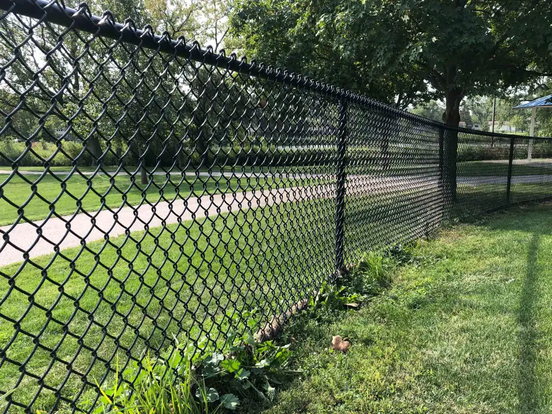 Chain Link